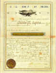 AnderSurvivor.jpg (132405 bytes)